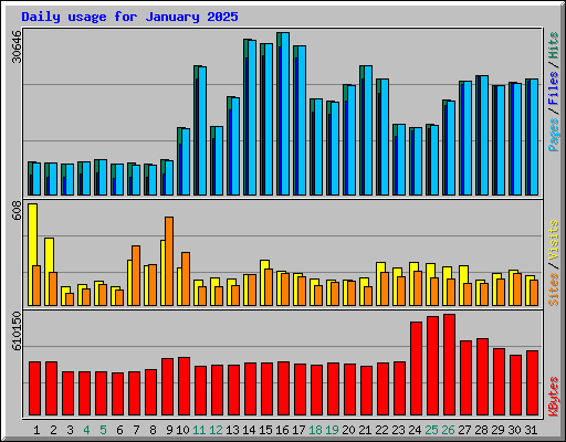 Daily usage for January 2025
