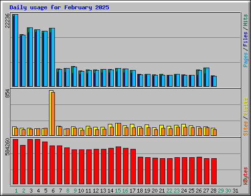 Daily usage for February 2025