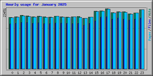 Hourly usage for January 2025