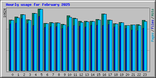 Hourly usage for February 2025