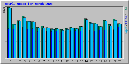 Hourly usage for March 2025