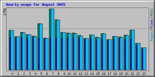 Hourly usage for August 2025