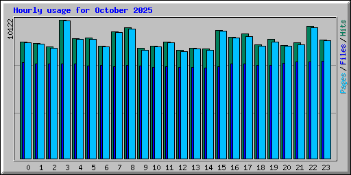 Hourly usage for October 2025